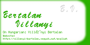 bertalan villanyi business card